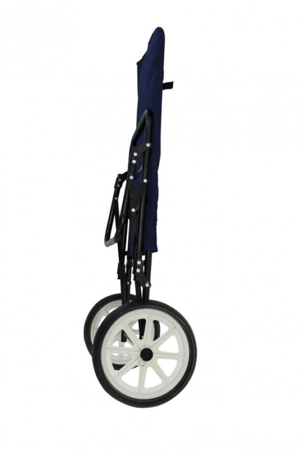 CARRELLO SIRIO - immagine 2