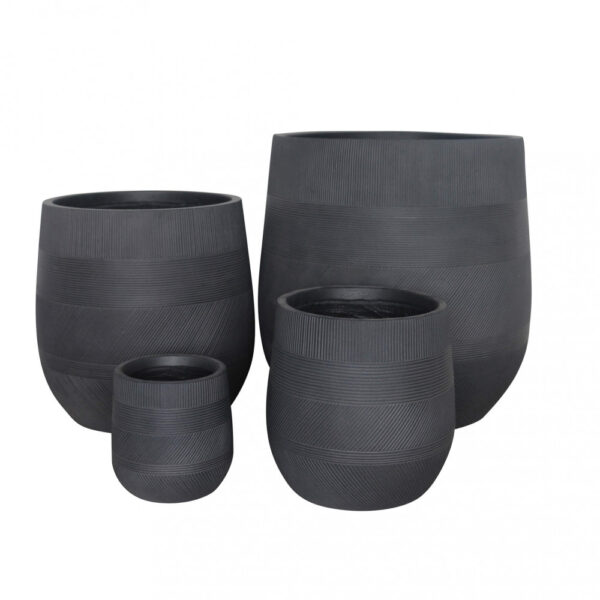 SET VASI PEONIA