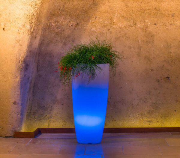 VASO LUMINOSO HYDRA 70 h CON LED MULTICOLOR E BATTERIA SOLARE - immagine 2