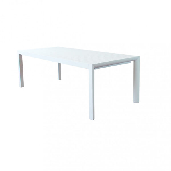 TAVOLO HOUSTON 225/300 X 100 - immagine 3