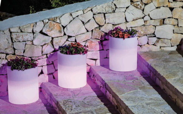 VASO LUMINOSO DELPHINUS 50 h CON LED MULTICOLOR E BATTERIA SOLARE - immagine 5