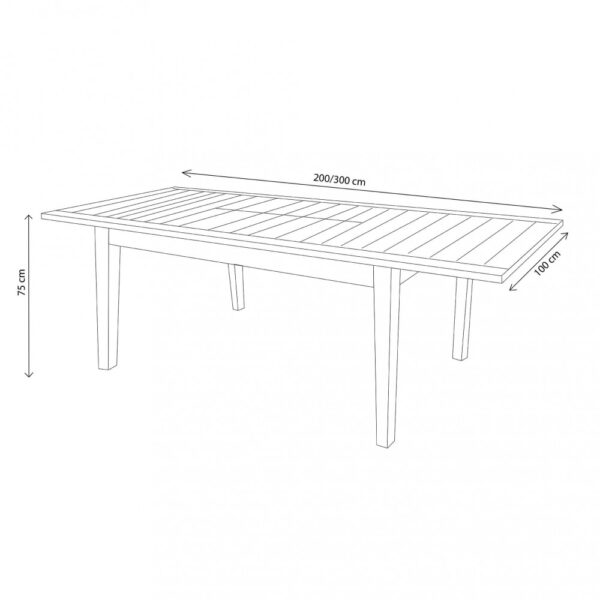 TAVOLO RIBOT 200/300 X 100 - immagine 2