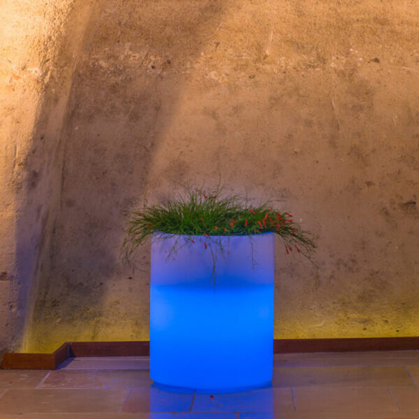 VASO LUMINOSO DELPHINUS 50 h CON LED MULTICOLOR E BATTERIA SOLARE - immagine 2