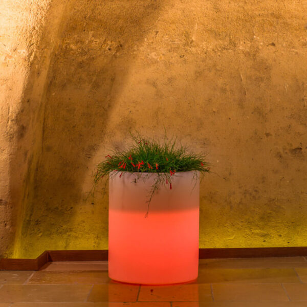 VASO LUMINOSO DELPHINUS 50 h CON LED MULTICOLOR E BATTERIA SOLARE - immagine 3