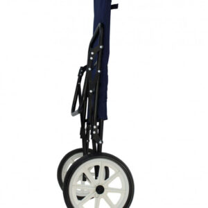 CARRELLO SIRIO