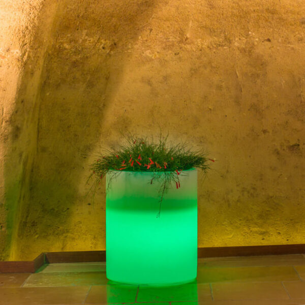 VASO LUMINOSO DELPHINUS 50 h CON LED MULTICOLOR E BATTERIA SOLARE - immagine 4