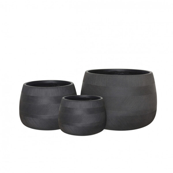 SET VASI TULIPANO