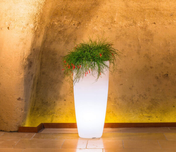 VASO LUMINOSO HYDRA 70 h CON LED MULTICOLOR E BATTERIA SOLARE - immagine 5