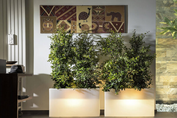 FIORIERA SCULPTOR  50 h - immagine 3