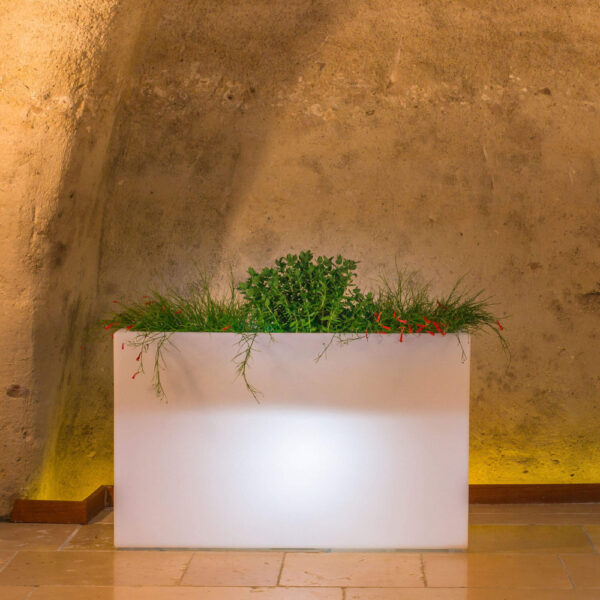 FIORIERA SCULPTOR  50 h - immagine 2