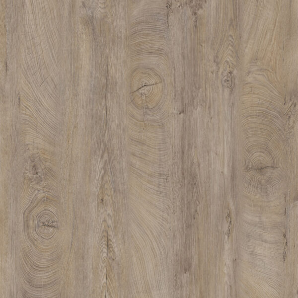 MOBILE FLEXI ROVERE CHIARO - immagine 3