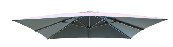 TELO DARWIN GRIGIO 3 X 4 P/L